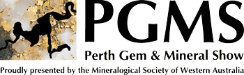 PGMS-logo-web